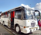 Coop. Transporte Menca de Leoni 048