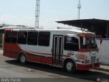 Transporte Virgen del Carmen 31