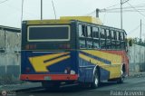 L�nea Sanare 19