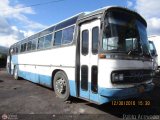 Particular PA-08