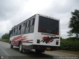 A.C. Transporte Unin 46, por Orqudea Hernndez