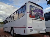 Transporte Tren al Sur C.A. 06