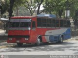 Transporte Bonanza 0008