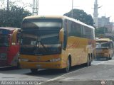 Transporte Clavellino 090