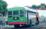 AR - Transporte Dorvir 2014 C.A. 05 Blue Bird All American FE International Harvester L-160 Series
