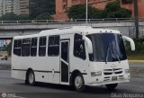 Coop. Transporte Menca de Leoni 000