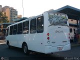 A.C. de Transporte Nmero Uno R.L. 049-A, por Miguel Pino
