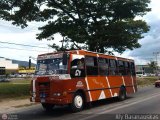 Transporte Virgen del Carmen 07, por Aly Baranauskas