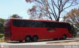 Sistema Integral de Transporte Superficial S.A 059