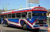 Expresos Nirgua 0006 Blue Bird All American RE Blue Bird Diesel 01