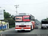 S.C. Lnea Transporte Expresos Del Chama 164