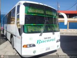 Transporte Bucaral 06 Encava E-NT6100 Encava Cummins Grande
