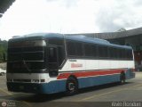 Transporte Bonanza 0101, por Alvin Rondon