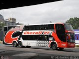 Nueva Chevallier (T.A. Chevallier) 5938