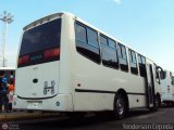 A.C. Transporte Paez 076, por Yenderson Cepeda