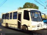 A.C. Transporte Paez 033