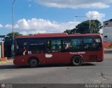 TransApure 82, por Antonio Mittilo