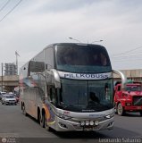 Transportes GM Internacional (Per) 956