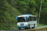 S.C. Lnea Transporte Expresos Del Chama 193