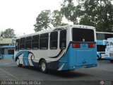 Lnea Los Andes S.C. 030, por Alfredo Montes de Oca