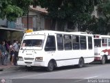 DC - A.C. Casalta - Chacato - Cafetal 183