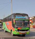 Turismo Internacional Pampas (Per) 960