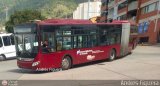 Trolmerida - Tromerca 09, por Andrs Figuera