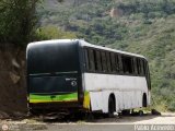 En Chiveras Abandonados Recuperacin 