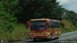 Autobuses de Barinas 036