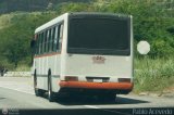 A.C. de Transporte Encarnaci�n 347