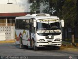 Colectivo Los Andes (Mrida - El Vigia) 14