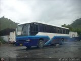 Particular KG-0210 Marcopolo Allegro GV Volvo B58