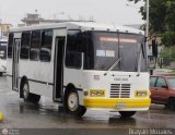 Asociacin Civil Lnea Unin Cordero 028, por Brayan Morales 