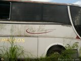 En Chiveras Abandonados Recuperacin AC1700 9, por Alejandro Curvelo