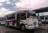 S.C. Valle de Qu�bor 02