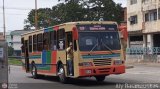 CA - Autobuses de Santa Rosa 13, por Aly Baranauskas