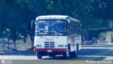 U.C. Los Caminantes 73