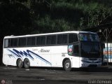 Expresos Alianza 313