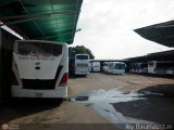 Garajes Paradas y Terminales Valencia, por Aly Baranauskas