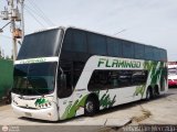 Expresos Flamingo 0061
