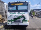 A.C. Transporte Paez 007, por Yenderson Fernndez C.