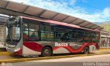 Trolmerida - Tromerca MER-990