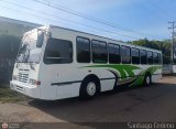 Transporte Choferes Unidos 12