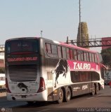 Transportes Tauro Bus (Perú)