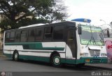 Transporte Panamericano 43