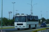 A.C. Don Augusto Malave Villalba 046 Carroceras Urea Codra Blue Bird Diesel 01