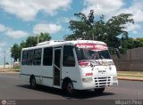 Ejecutivos Kova 102 Encava Nuevo E-NT900AR Encava Isuzu Serie 900