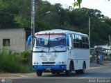 Asociacin Cooperativa R.S. Ezequiel Zamora 50 Servibus de Venezuela Milenio Urbano Iveco Tector CC118E22 EuroCargo