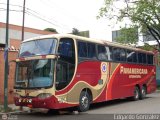 Panamericana Internacional 010 Comil Campione 3.85 Scania K124IB