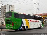 Expreso Internacional Palomino 7033